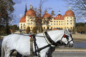 schloss-moritzburg-in-sachsen-mit-pferdekutsche