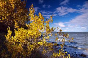 Ostseeurlaub im herbst