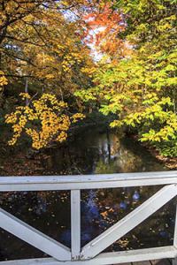 Naturbrücke über die Ilm