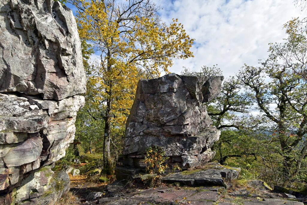 Nationalpark Hunsrück