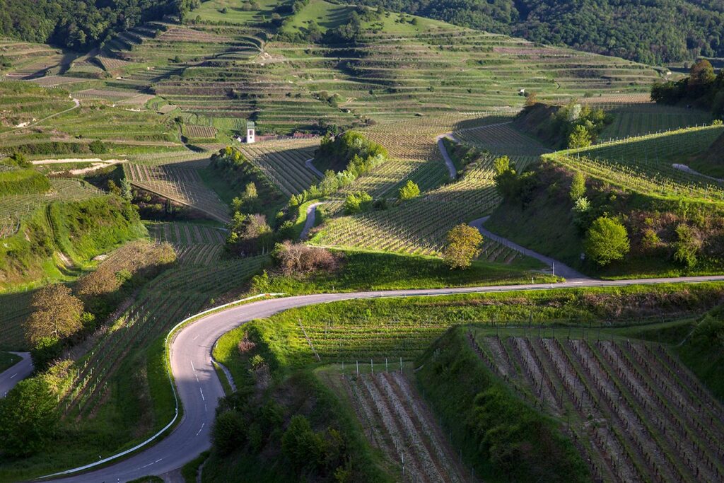 Badische Weinstraße Kaiserstuhl