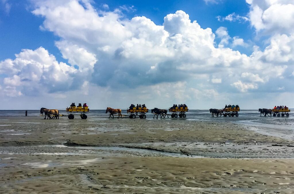 Nationalpark hamburgsches wattenmeer neuwerk