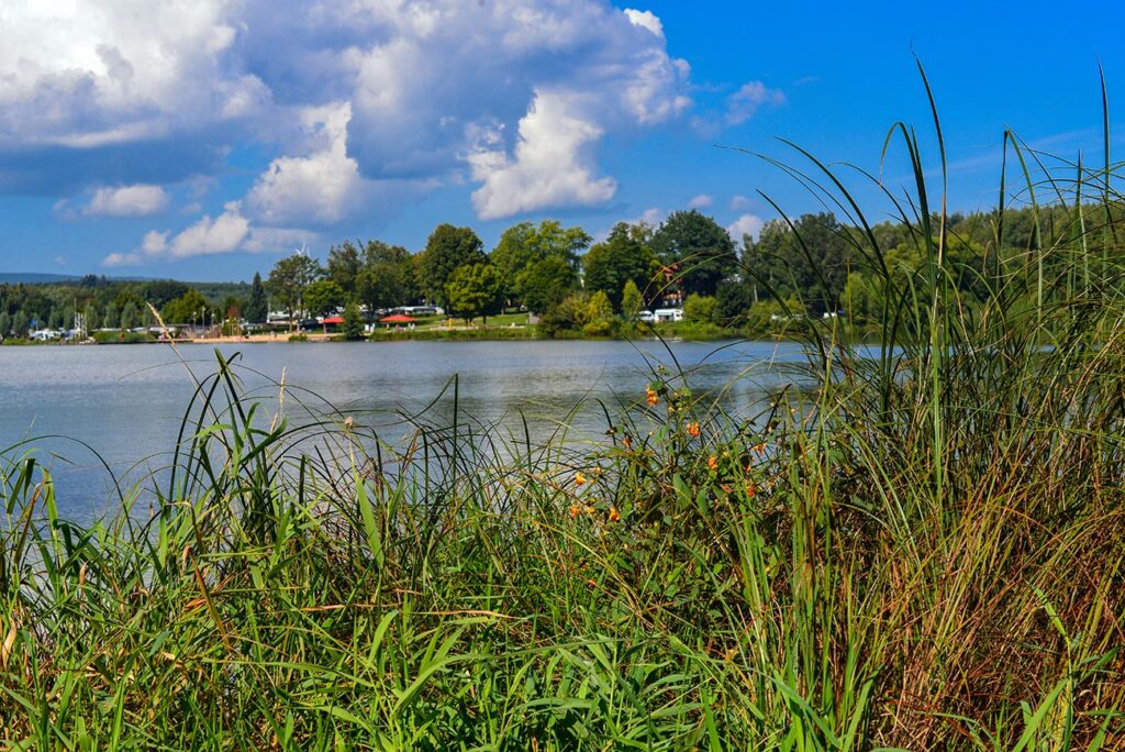 freiensteinau in hessen nieder-mooser teich 