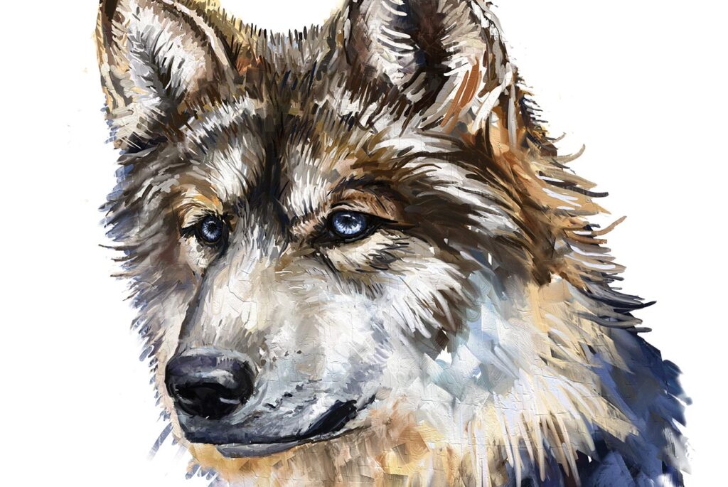 wolf aquarell