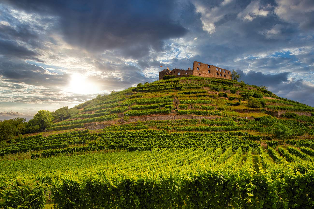 Burg Staufen im Breisgau