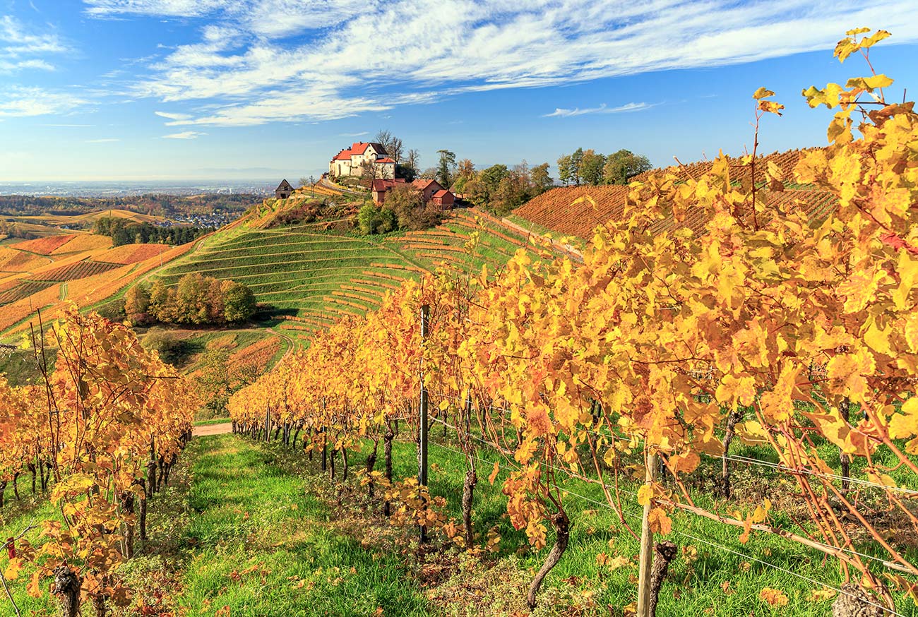 durbachburg staufenberg