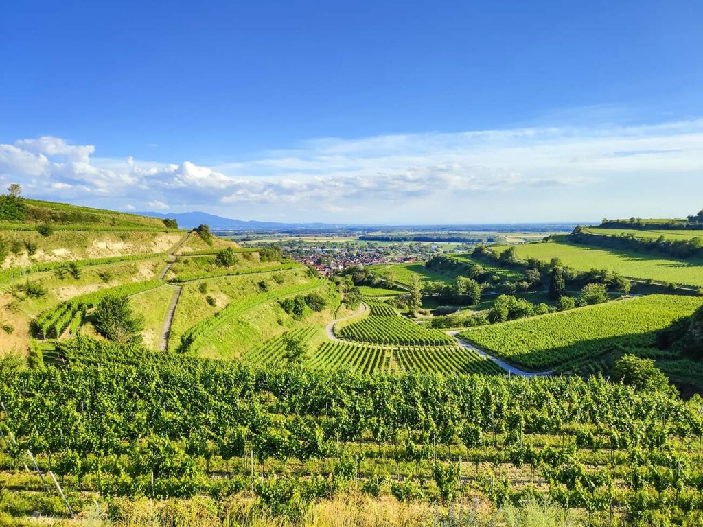 kaiserstuhl an der badischen weinstrasse