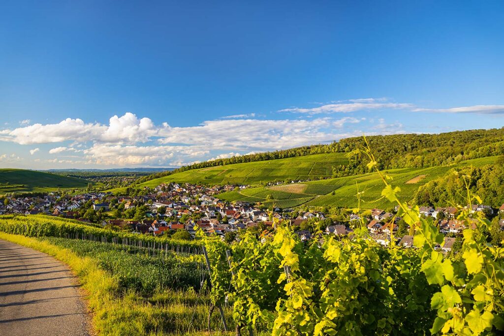 pfaffenweiler im markgraeflerland