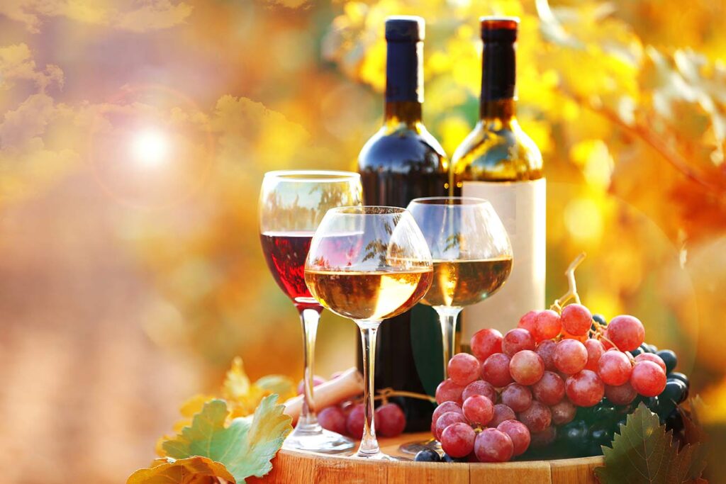 rotwein weisswein trauben