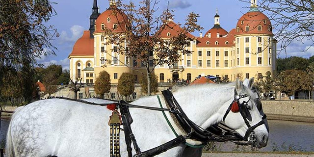 Schloss Moritzburg in Sachsen