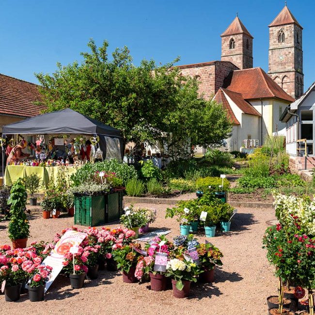 Gartenmarkt Kloster Veßra in Thüringen