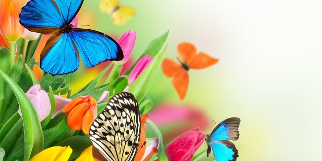Nordrhein-Westfalen – Events und Märkte in der Osterzeit