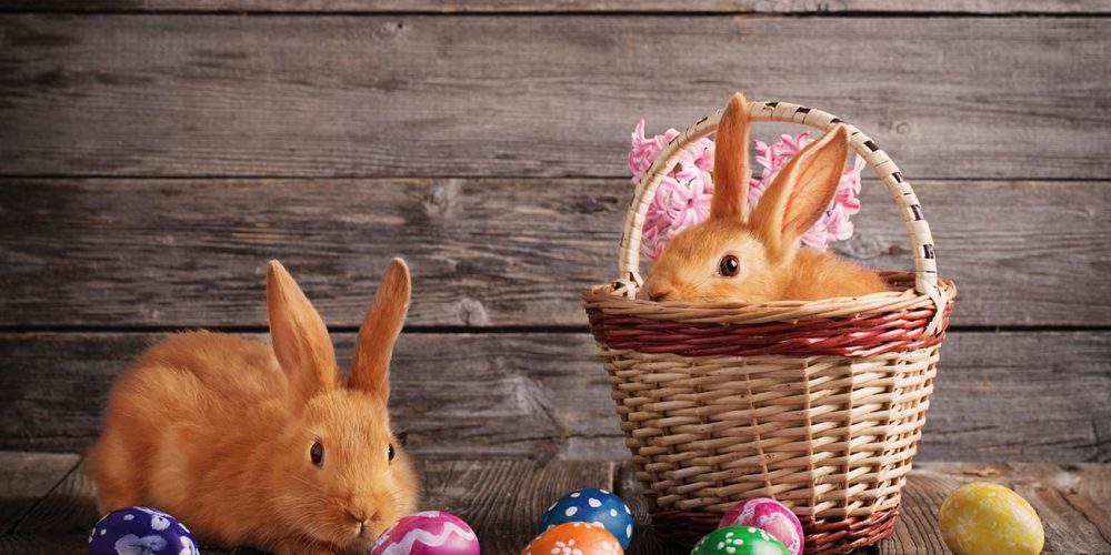 Ostermärkte in Thüringen 2025