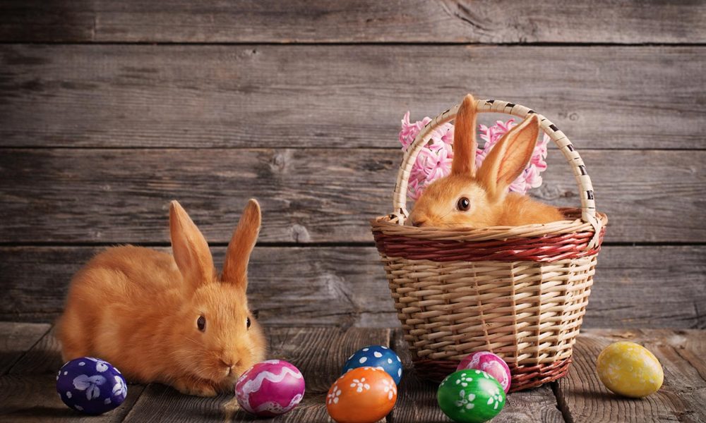 Osterhase mit Korb