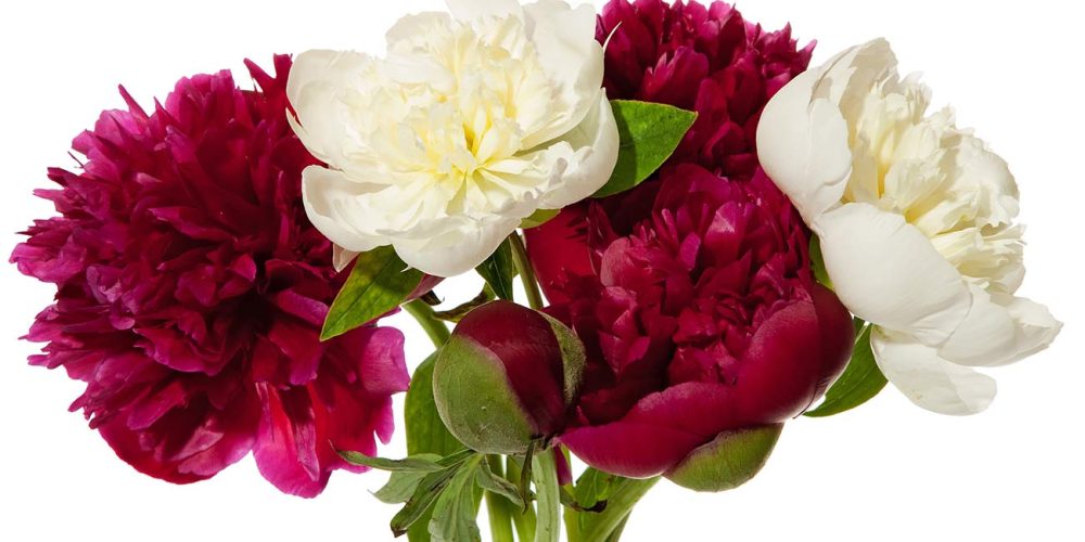 Pfingsten in Sachsen