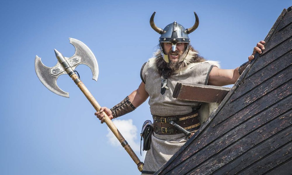 wikinger krieger