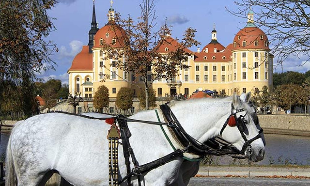 Moritzburg in Sachsen