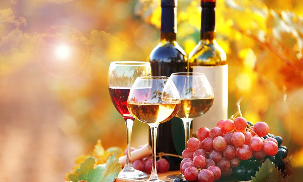 rotwein weisswein trauben