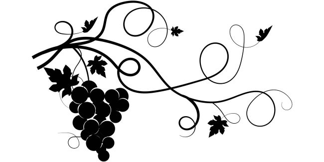 Konstanzer Weinfest 2026