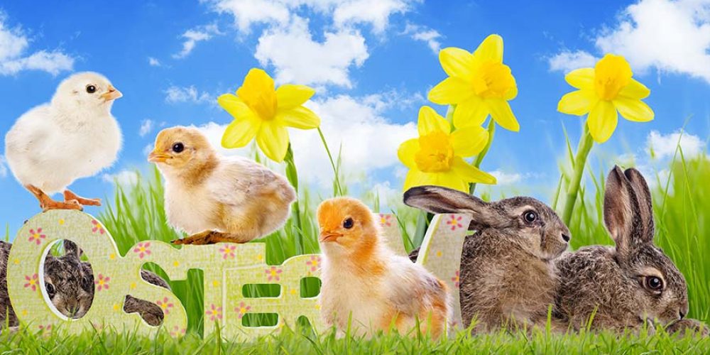 Frohe Ostern